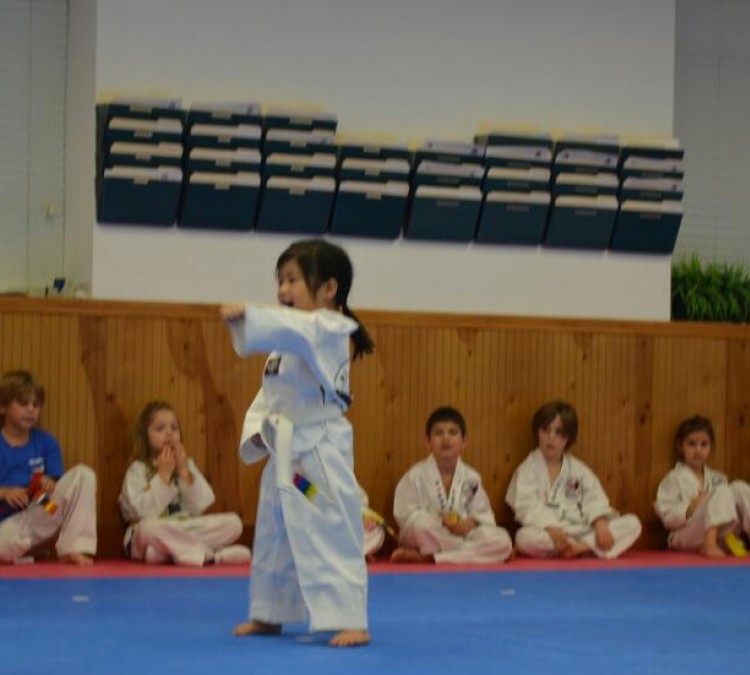world-champion-taekwondo-photo